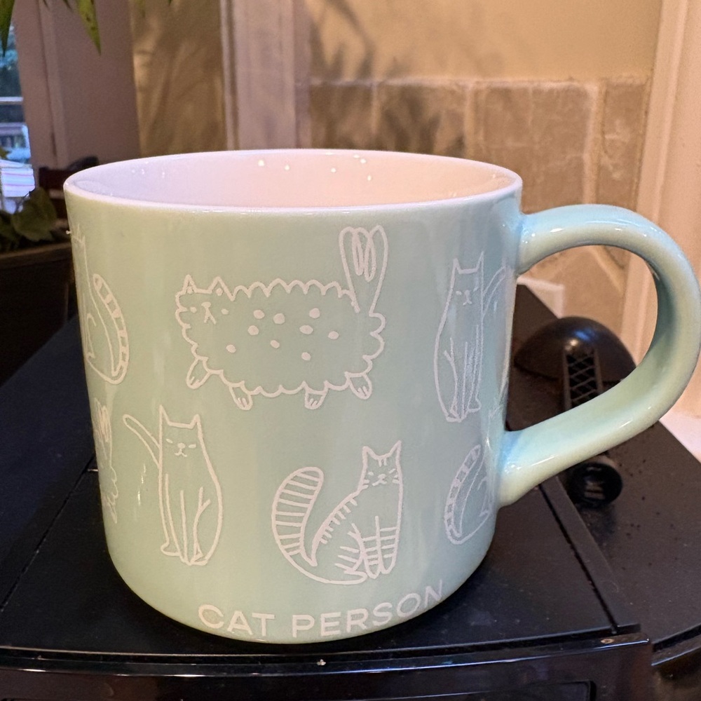 Cat Person Ceramic Mug in Mint Green